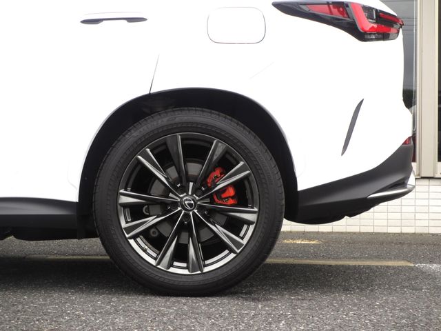 LEXUS NX450h+ AWD