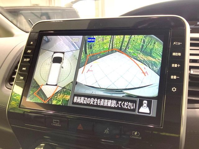 SERENA  WG