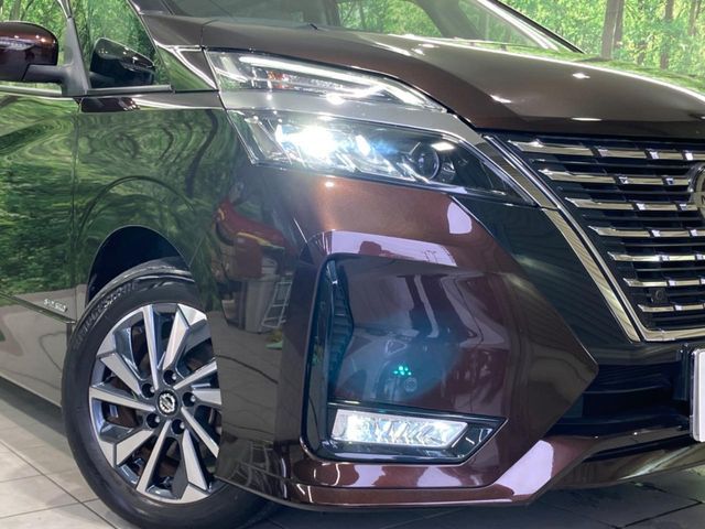 SERENA  S-HYBRID