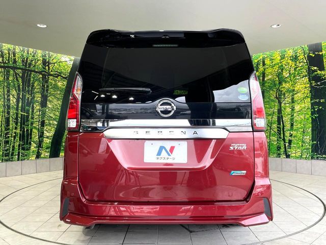 SERENA  S-HYBRID