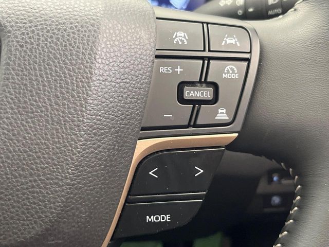 CROWN SPORT