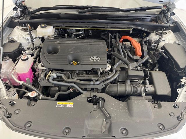 CROWN SPORT