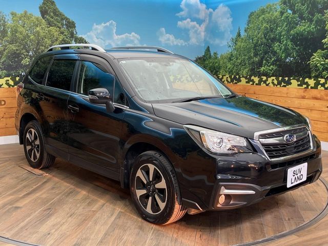 FORESTER