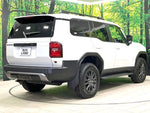 LANDCRUISER 250