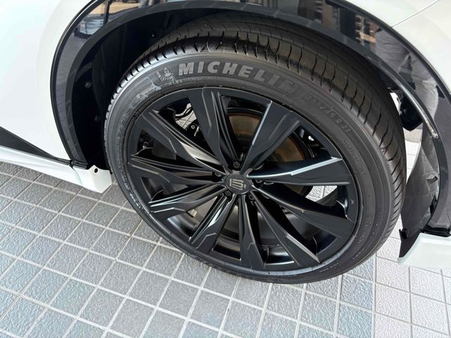 CROWN SPORT