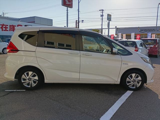 FREED plus HYBRID