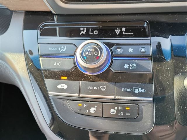 FREED plus HYBRID