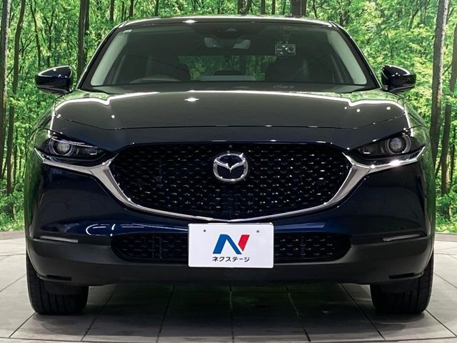 CX-30