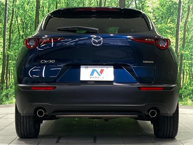 CX-30