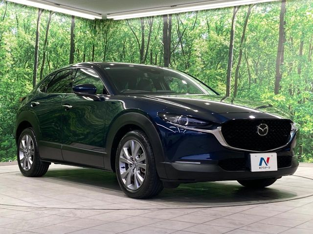 CX-30