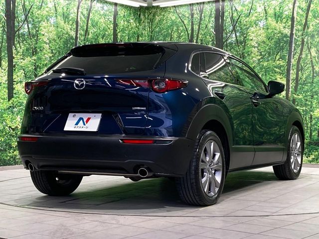 CX-30