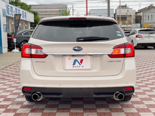 LEVORG
