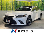 LEXUS ES300h
