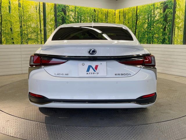 LEXUS ES300h