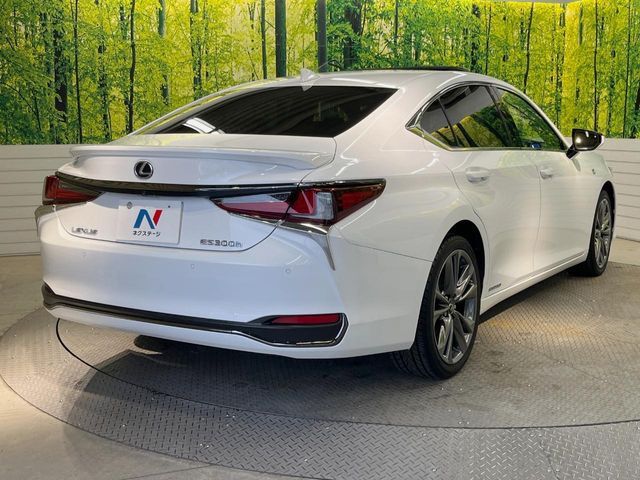 LEXUS ES300h
