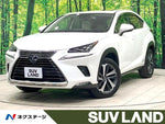 LEXUS NX300h AWD