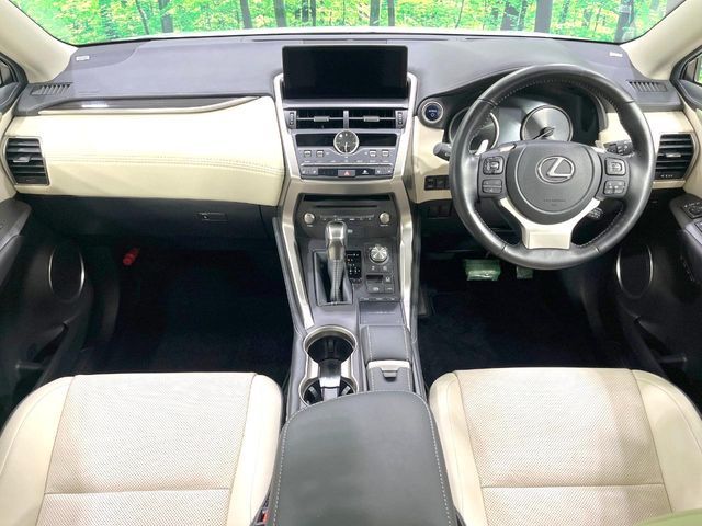 LEXUS NX300h AWD