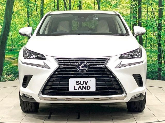 LEXUS NX300h AWD