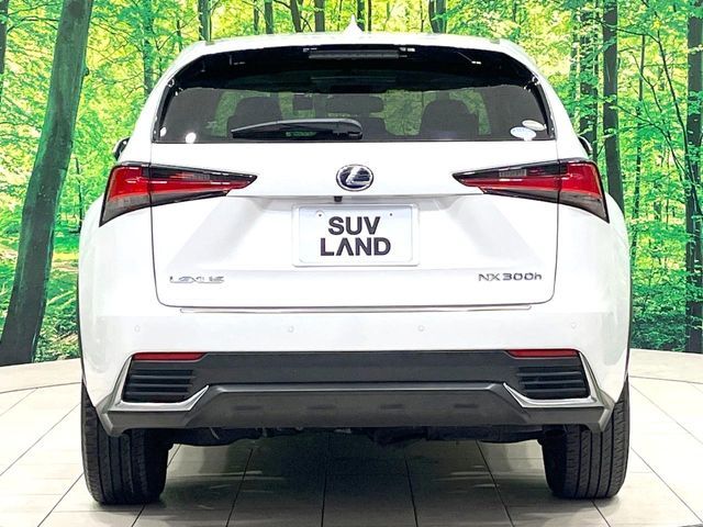 LEXUS NX300h AWD