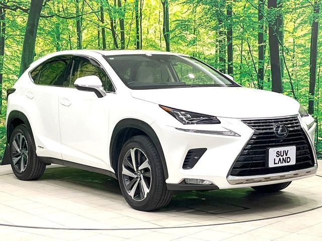 LEXUS NX300h AWD