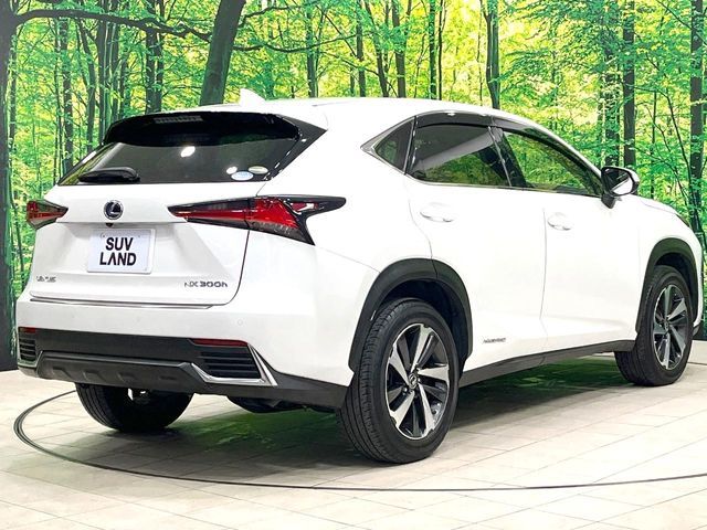 LEXUS NX300h AWD
