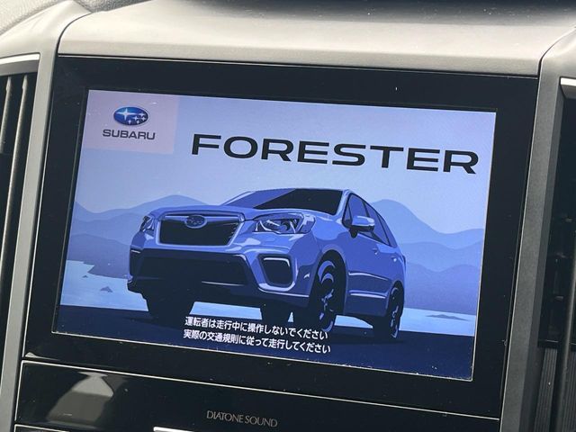 FORESTER