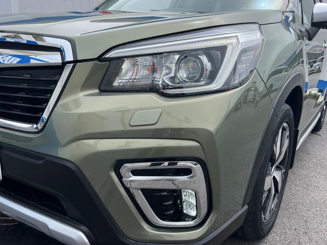 FORESTER