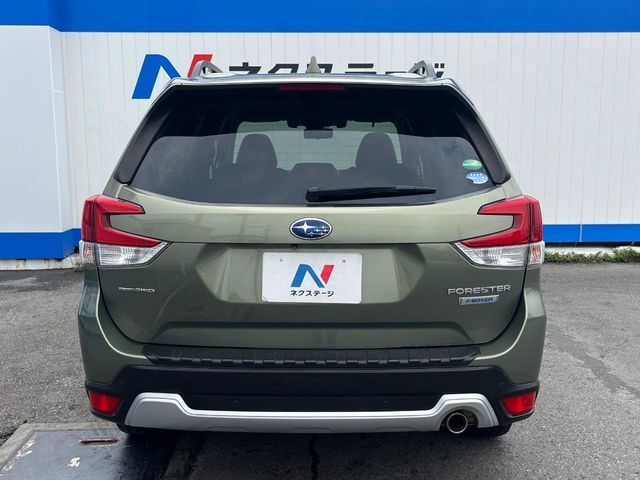 FORESTER