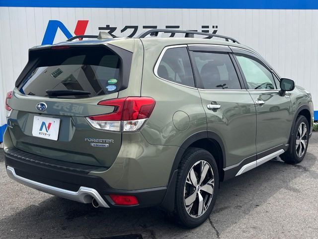 FORESTER