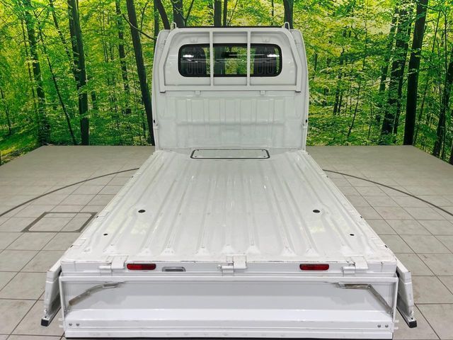 CARRY truck 4WD