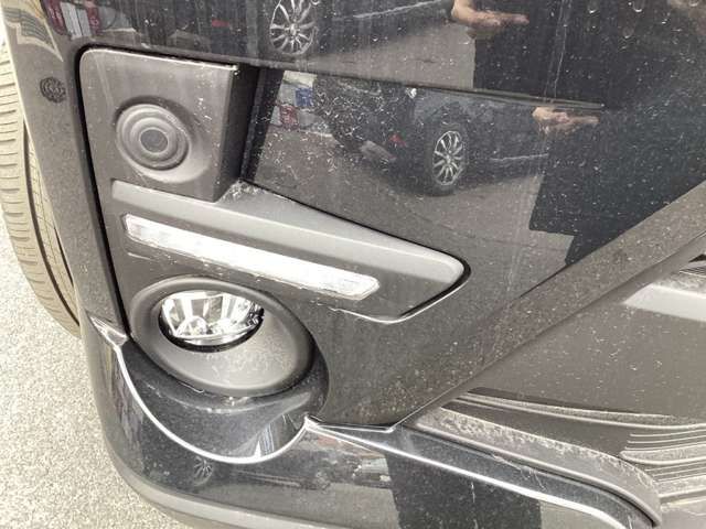 RAIZE