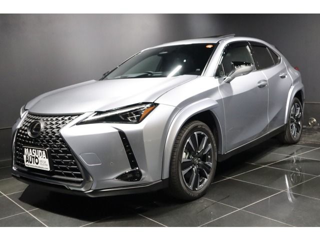 LEXUS UX300h