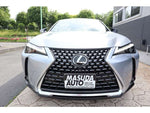 LEXUS UX300h