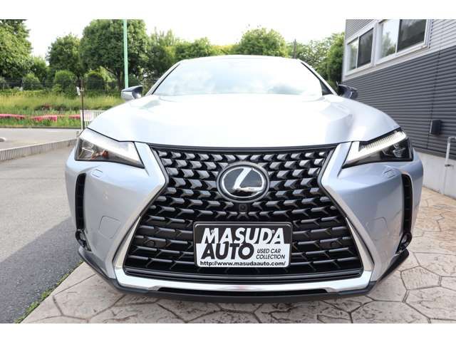 LEXUS UX300h
