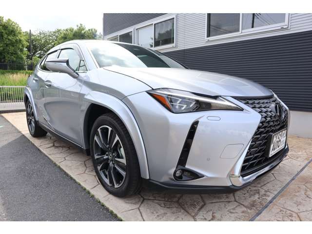 LEXUS UX300h