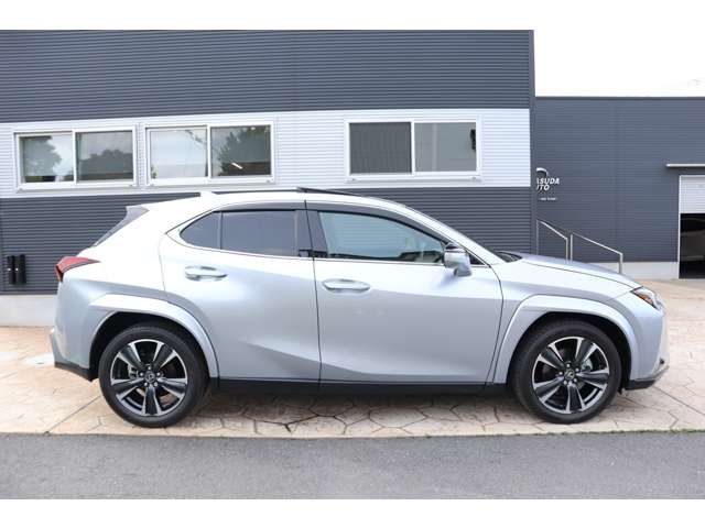 LEXUS UX300h