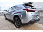 LEXUS UX300h