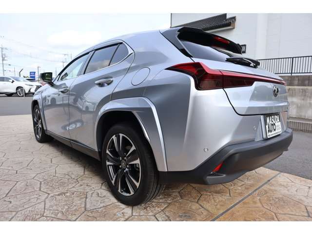 LEXUS UX300h