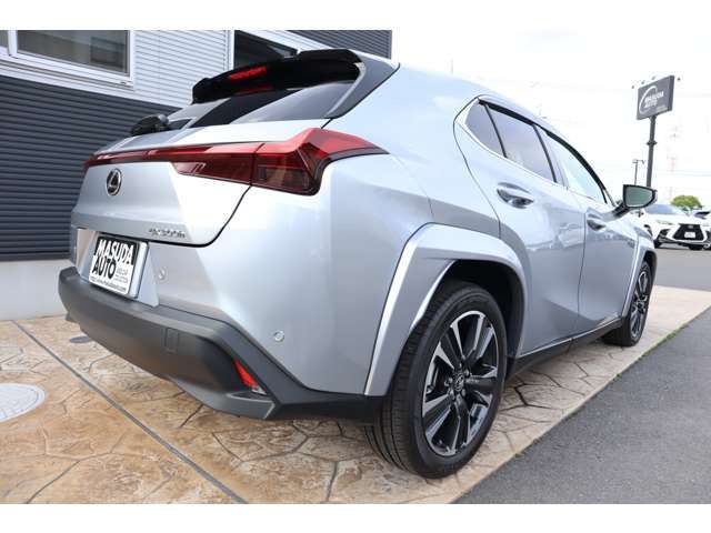 LEXUS UX300h