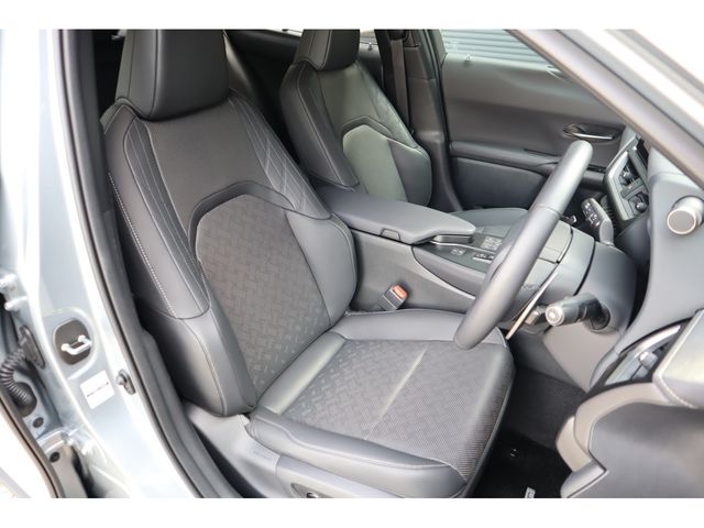 LEXUS UX300h