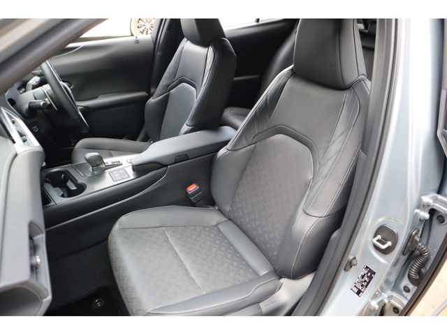 LEXUS UX300h
