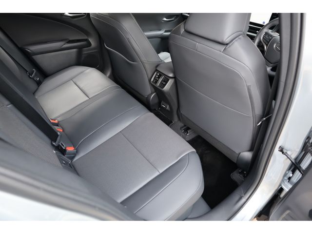 LEXUS UX300h
