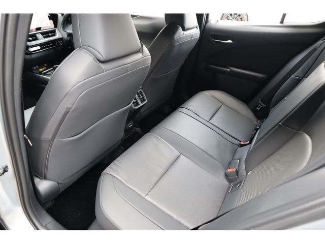 LEXUS UX300h