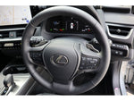LEXUS UX300h