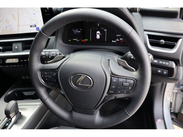 LEXUS UX300h