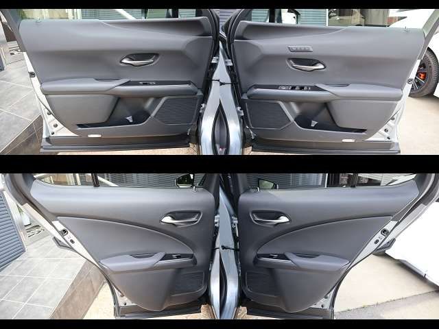 LEXUS UX300h