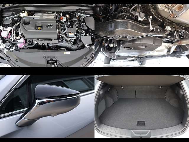 LEXUS UX300h