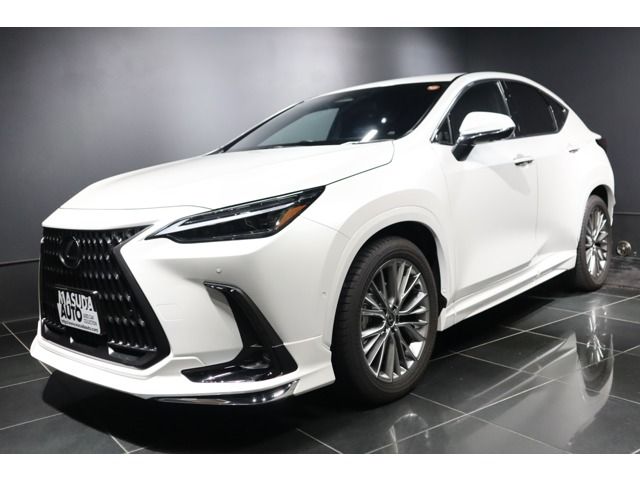 LEXUS NX450h+ AWD