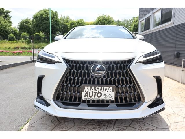 LEXUS NX450h+ AWD