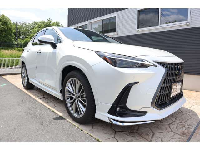 LEXUS NX450h+ AWD